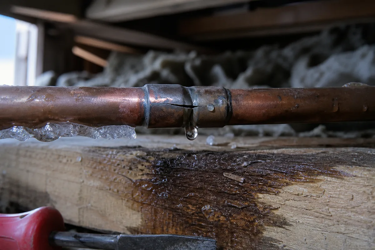 Raccord en cuivre fendu sous un plancher de chalet, gouttes suspendues au moment du dégel